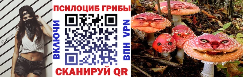 kraken вход  Зарайск  Галлюциногенные грибы Psilocybine cubensis 